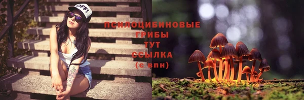 прущая мука Белокуриха