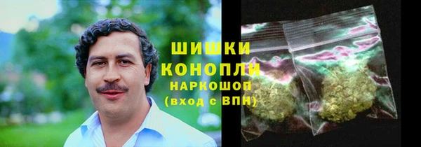 дурь Бронницы