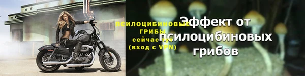 дурь Бронницы