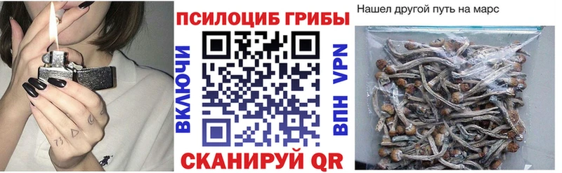 Псилоцибиновые грибы GOLDEN TEACHER  маркетплейс наркотические препараты  Волжск 